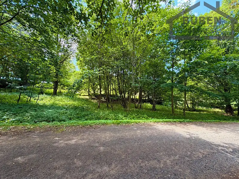 Prodej stavebního pozemku 4165 m², Planá – náhled fotky 3
