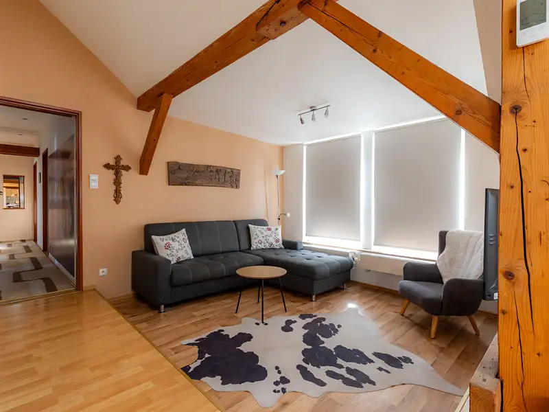 Prodej bytu atypický 151 m², Ostrava – náhled fotky 3