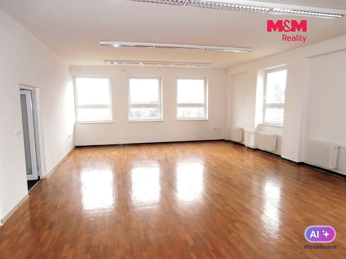 Pronájem obchodního prostoru 335 m² – fotografie 3
