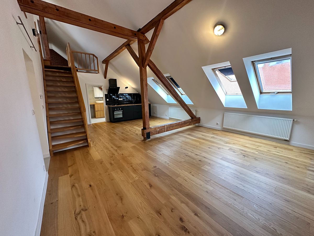 Pronájem bytu 1+kk 54 m²