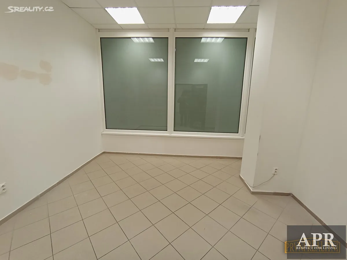 Pronájem obchodního prostoru 150 m² – pohled 4