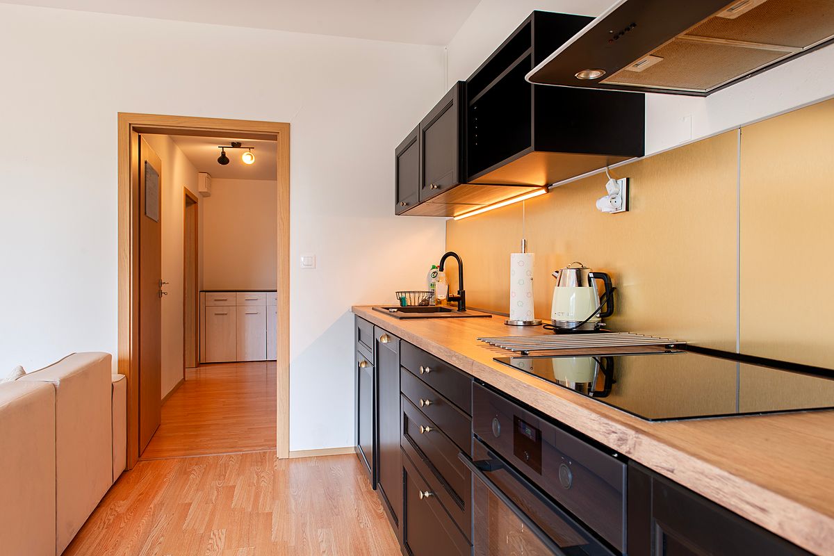 Pronájem bytu 2+kk 48 m² – fotografie 4