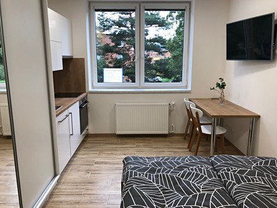 Pronájem bytu 1+kk 26 m²