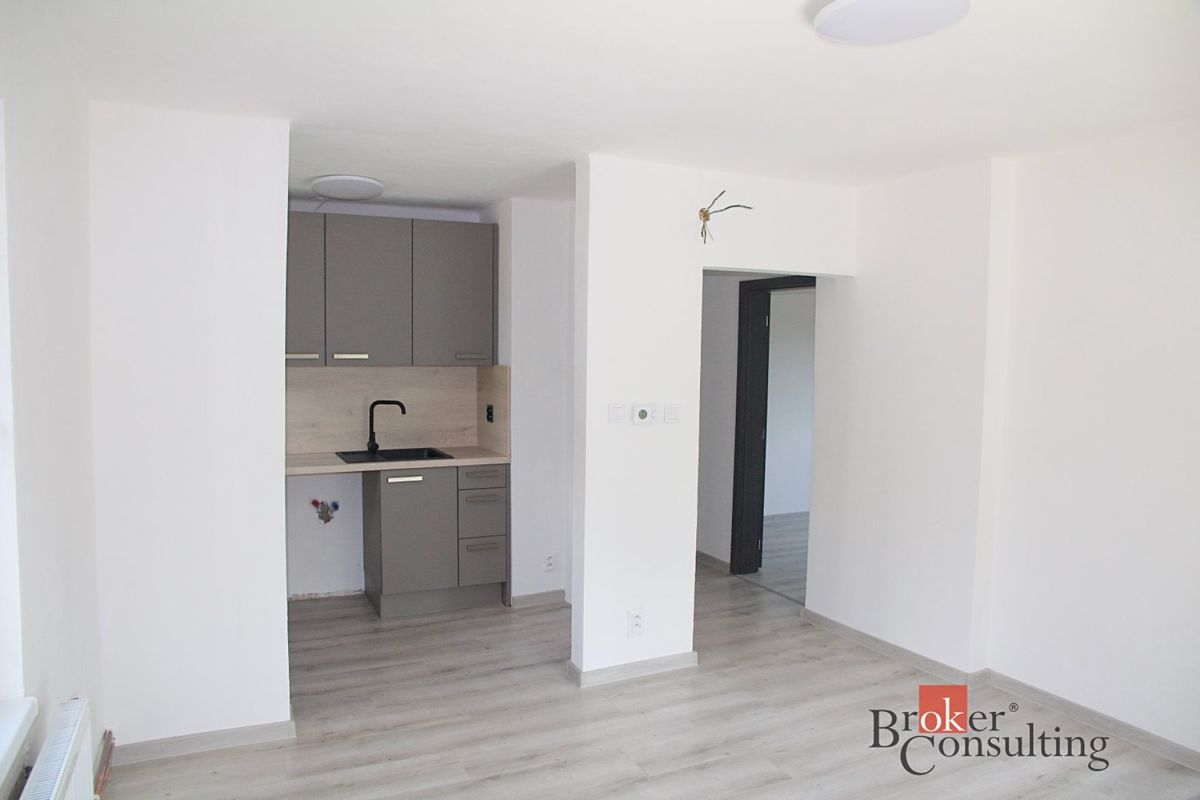 Pronájem bytu 3+kk 50 m² – fotografie 5