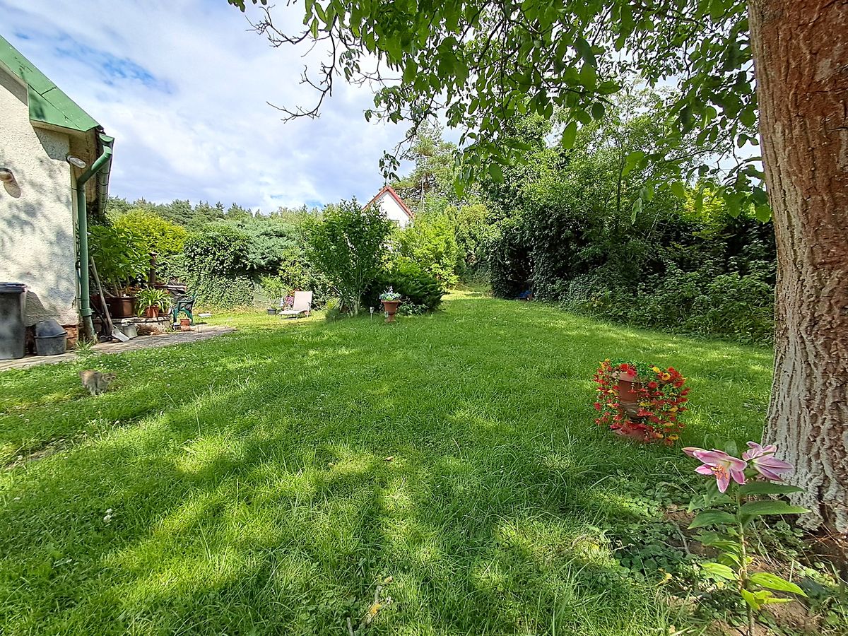 Prodej rodinného domu 80 m², pozemek 1661 m² – fotografie 5