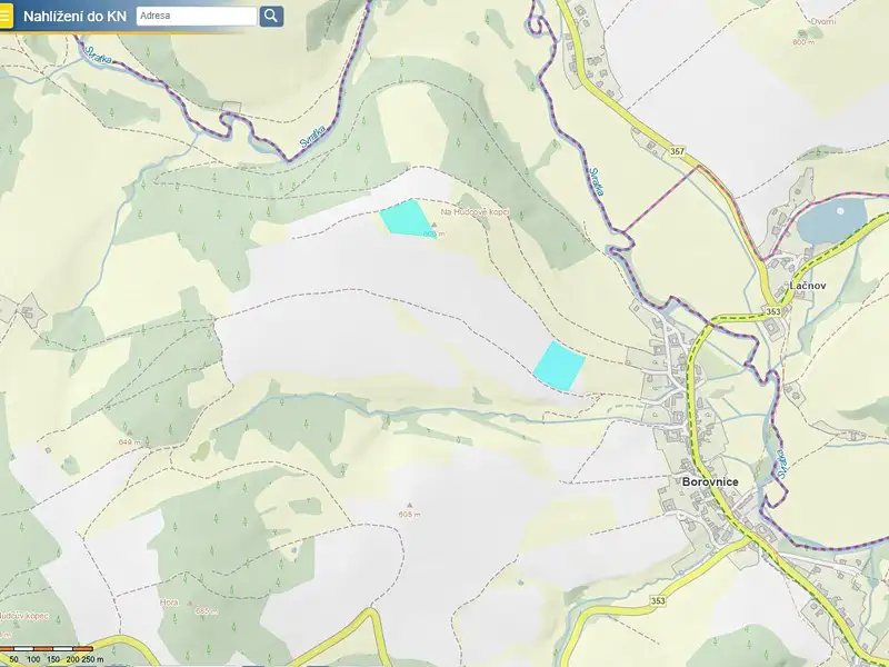 Prodej pole 17939 m², Borovnice – náhled fotky 1
