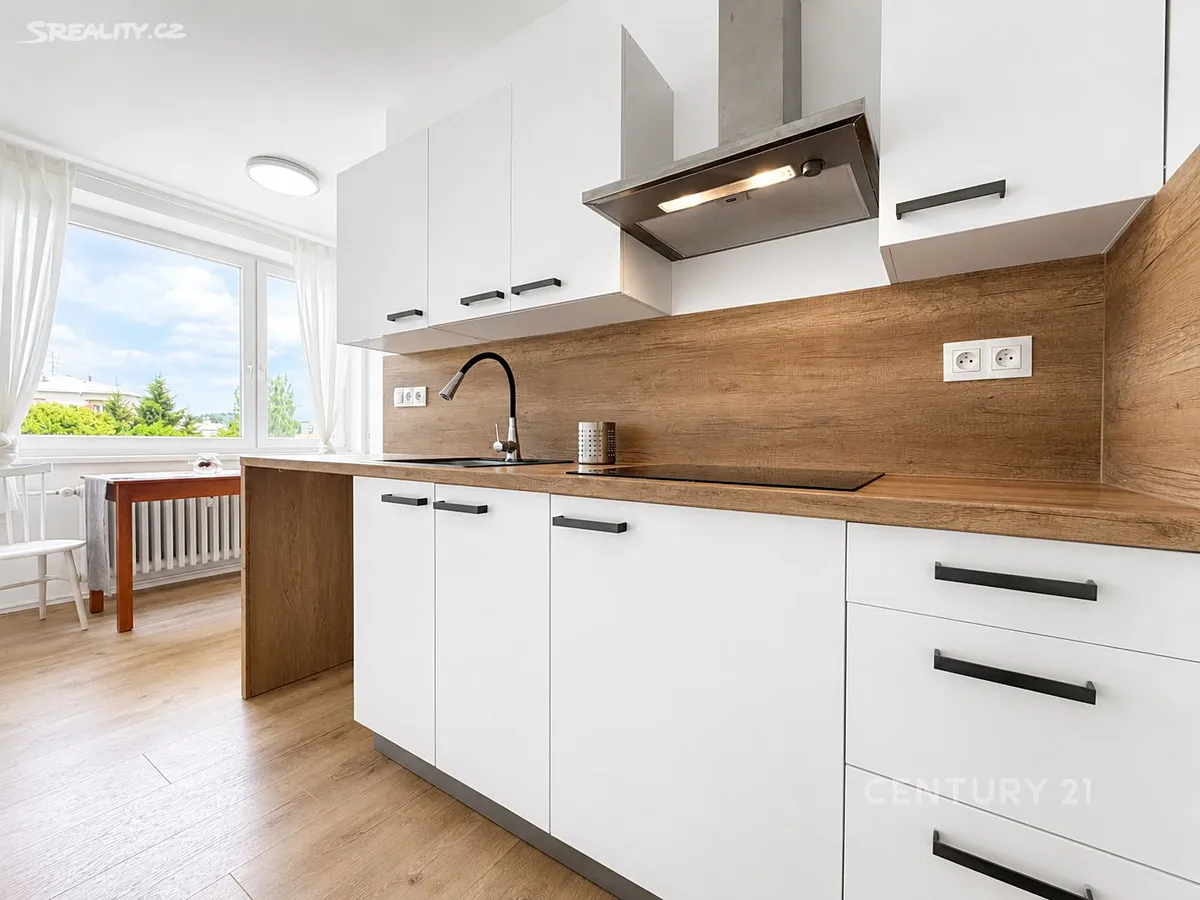 Pronájem bytu 1+1 38 m², Brno