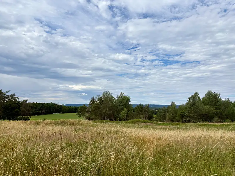 Prodej louky 16399 m², Rybníky – náhled fotky 2