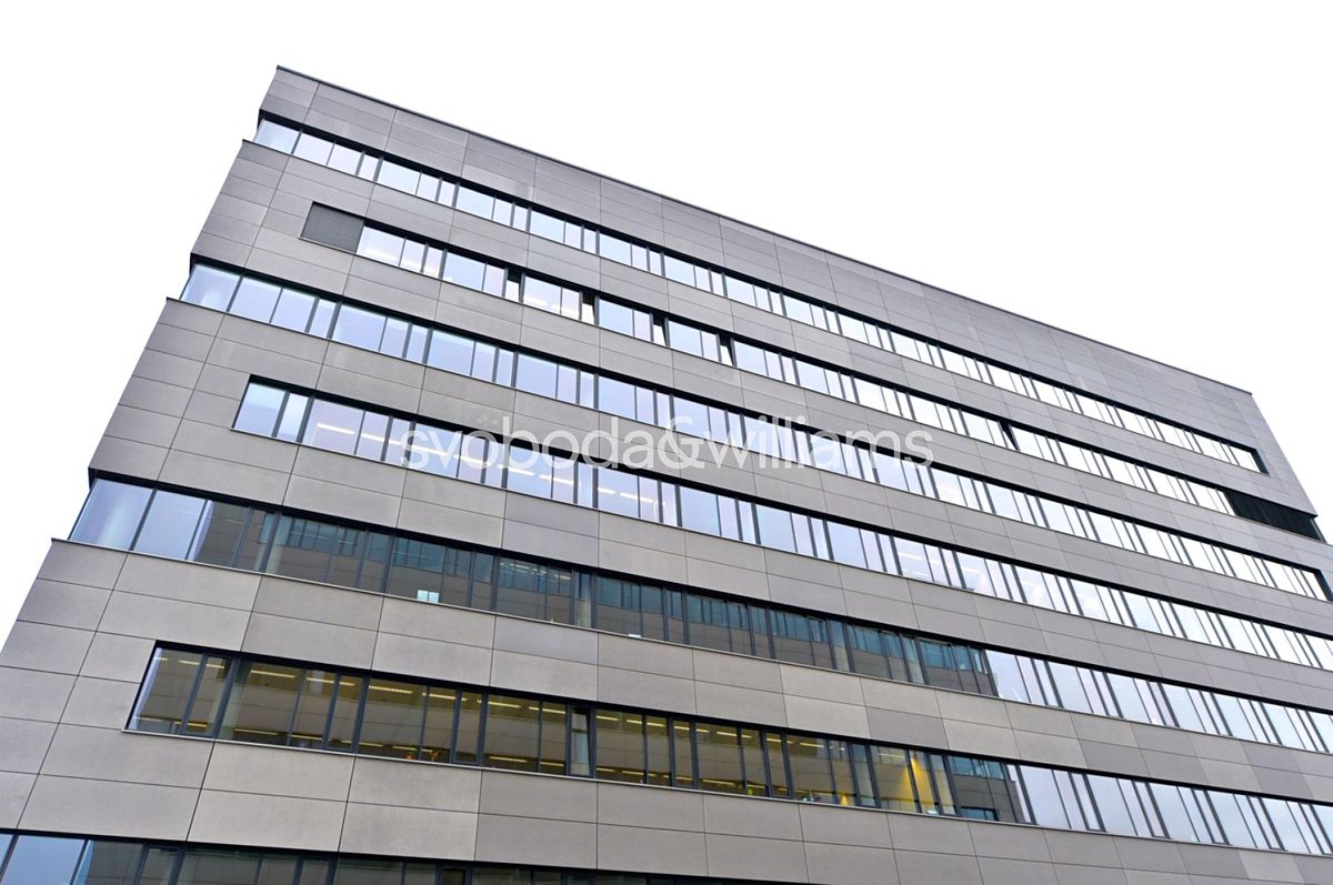 Pronájem kanceláře 128 m² – fotografie 4