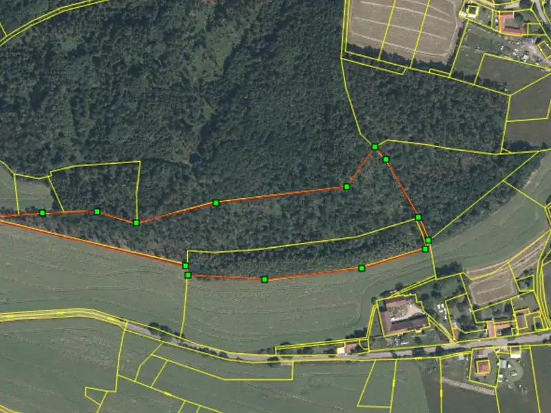 Prodej lesa 27968 m², Rybníky – náhled fotky 2