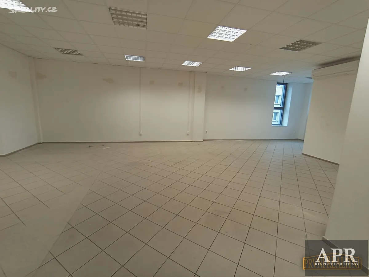 Pronájem obchodního prostoru 150 m² – pohled 3