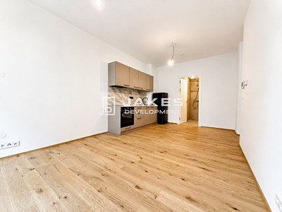 Pronájem bytu 1+kk 30 m²