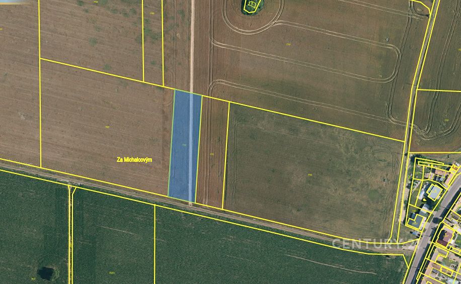 Prodej pole 2936 m² – fotografie 3