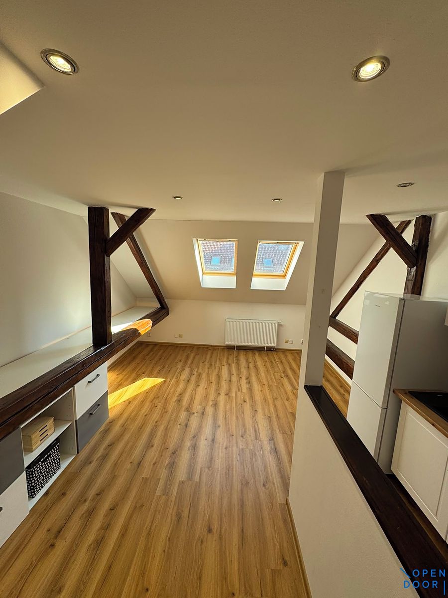 Pronájem bytu 1+1 50 m²