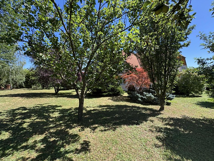 Haus zum Kauf, 301 m² (12 von 33)