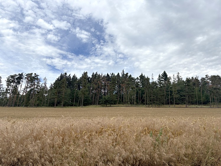 Grundstück zum Kauf, 27.968 m² (1 von 13)