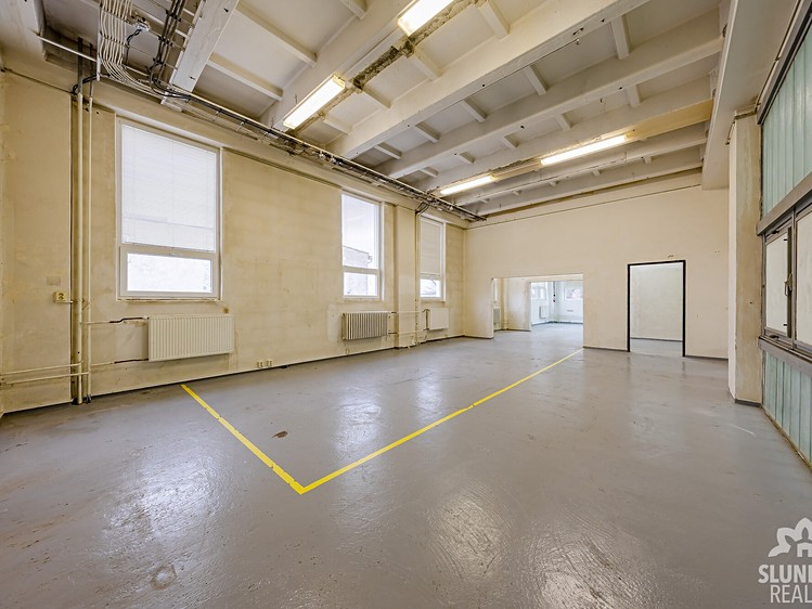 Pronájem komerčního prostoru, 348 m² (9 z 10)