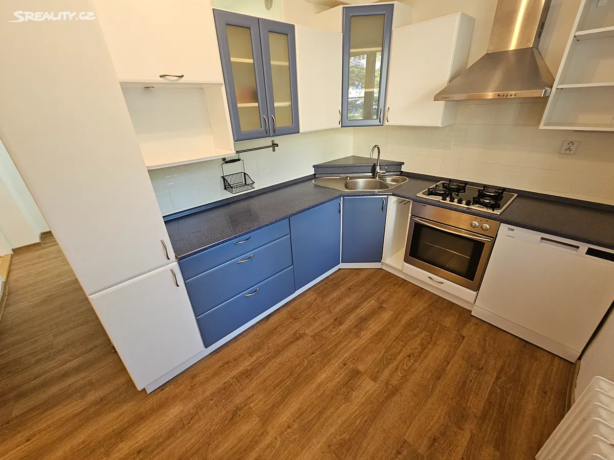 Pronájem bytu 3+1 67 m² - Widok 2