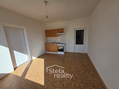 Pronájem bytu 1+1 44 m²