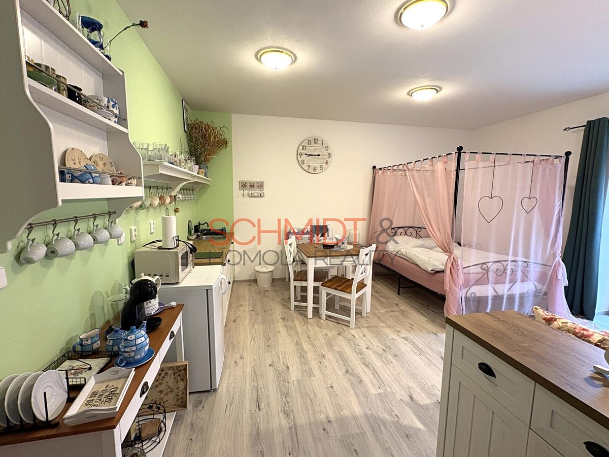 Pronájem bytu 1+kk 38 m²