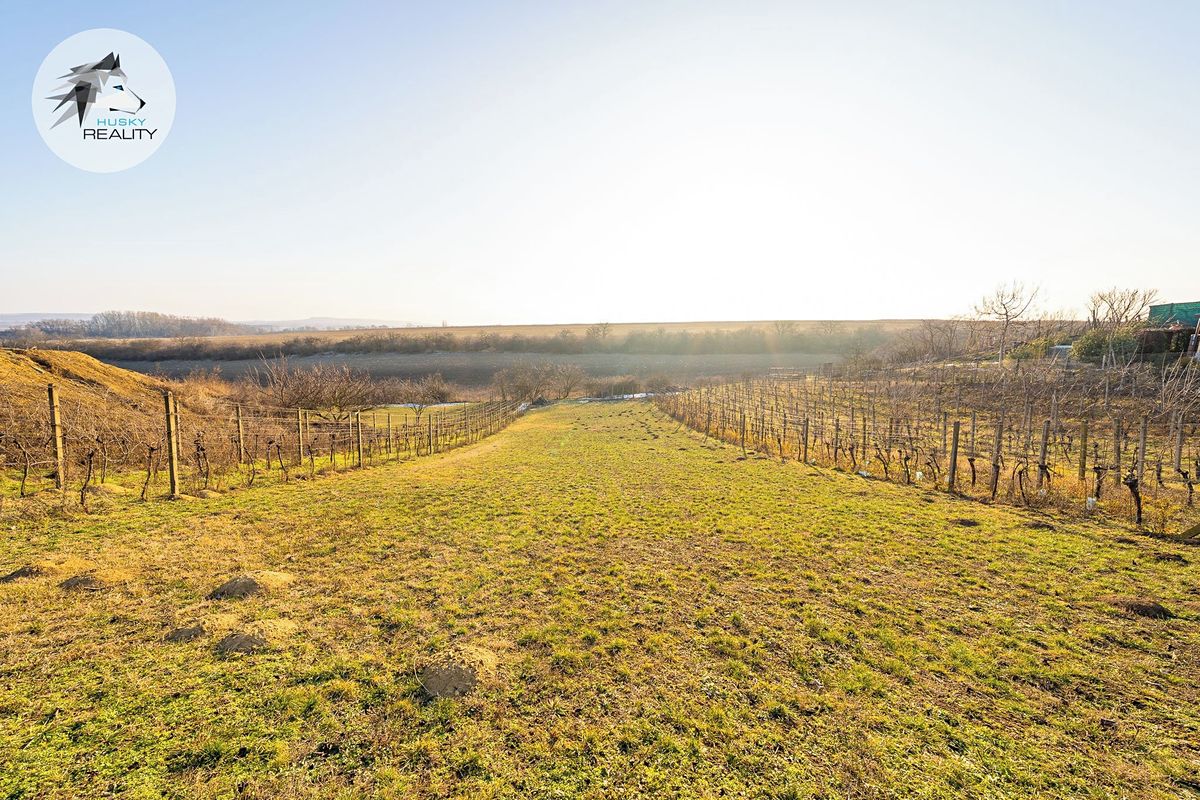 Prodej stavebního pozemku 1217 m², Pasohlávky – fotka 1 z 3