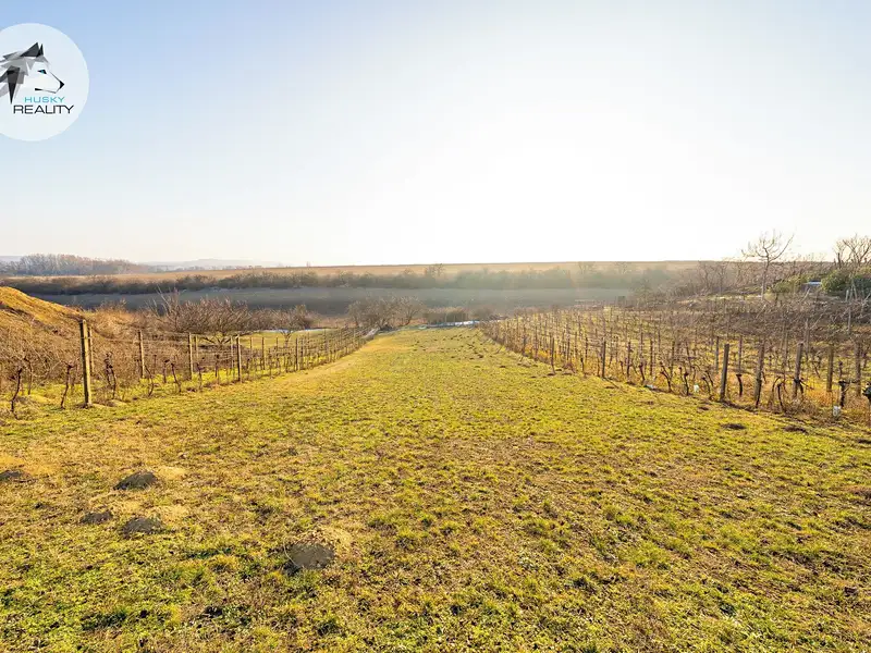 Prodej stavebního pozemku 1217 m², Pasohlávky – náhled fotky 1