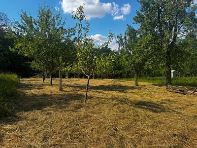 Prodej zahrady 668 m²