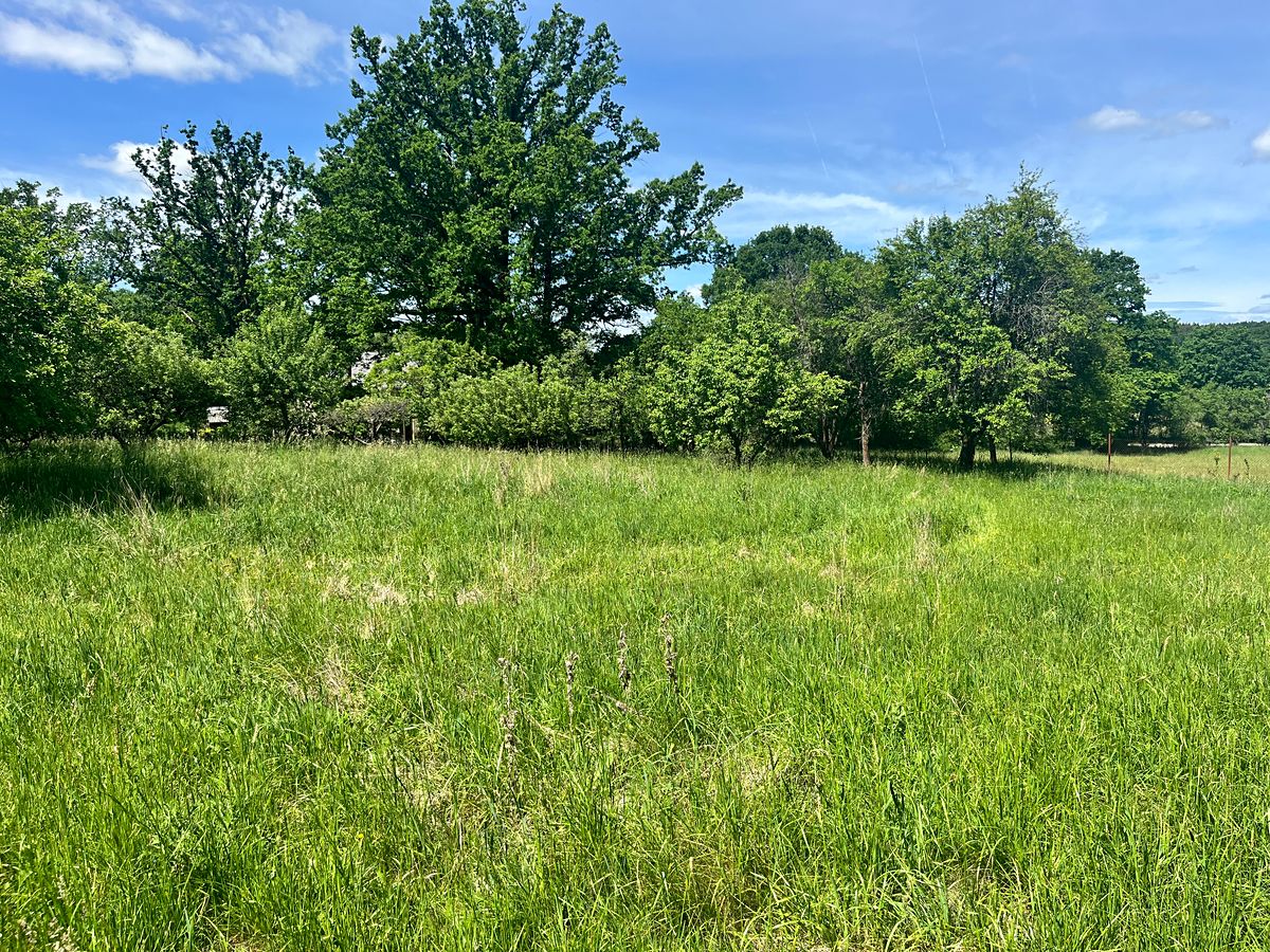 Prodej stavebního pozemku 3155 m² – fotografie 3