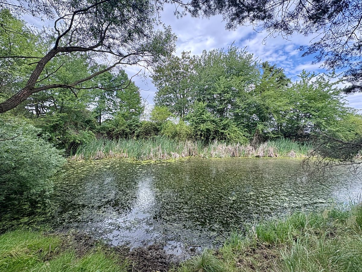 Prodej louky 17967 m², Rybníky – fotka 1 z 3