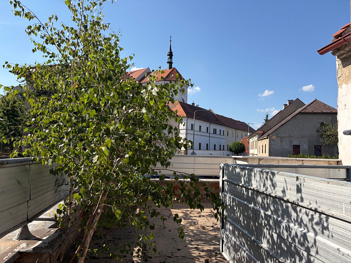 Prodej rodinného domu 93 m², pozemek 119 m² – fotografie 3