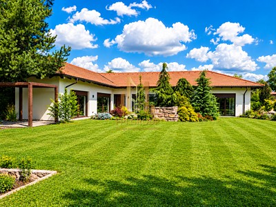 Pronájem  rodinného domu 246 m², pozemek 1 338 m²