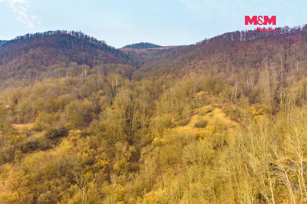 Prodej pozemku 8537 m² – fotografie 4
