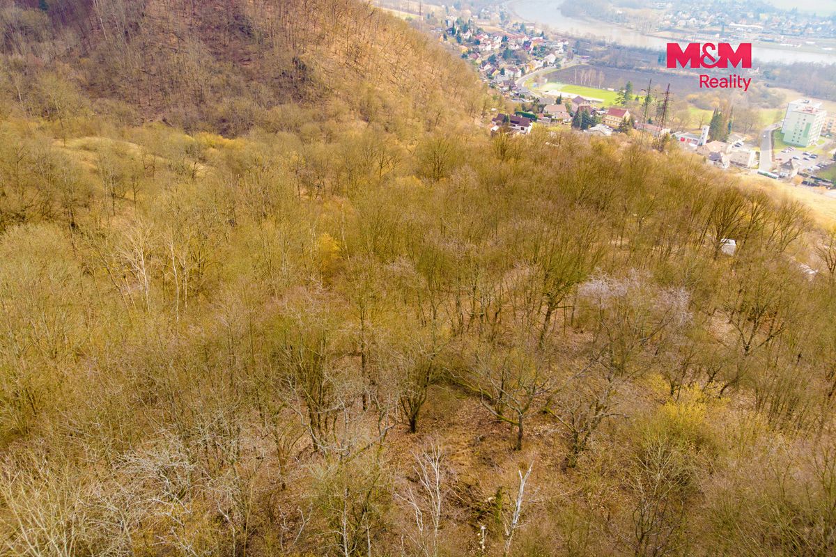 Prodej pozemku 8537 m² – fotografie 5