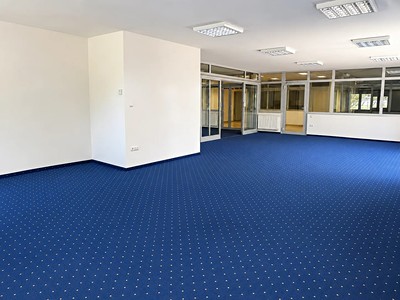 Gewerbefläche zur Miete, 265 m² (2 von 13)