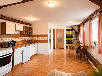 Pronájem bytu 1+kk 49 m²