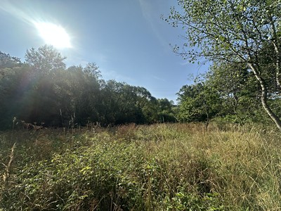 Prodej  pozemku 3 546 m²