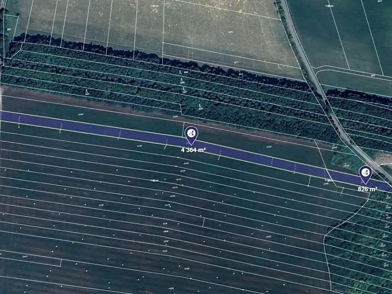 Prodej pole 5190 m², Javorník – náhled fotky 1