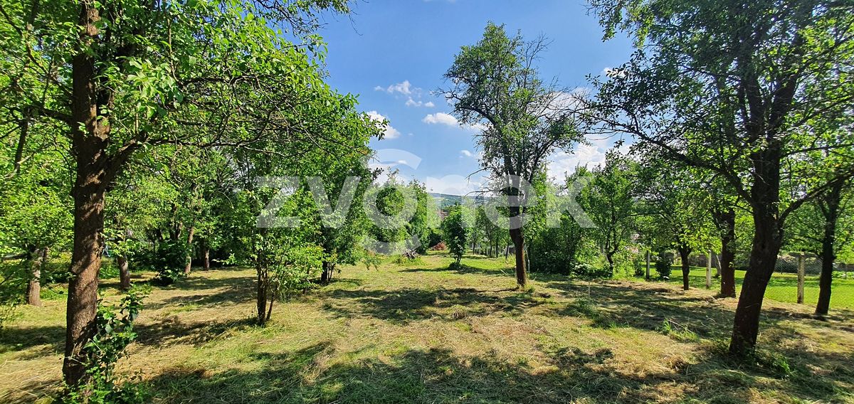 Prodej rodinného domu 300 m², pozemek 2567 m² – fotografie 3
