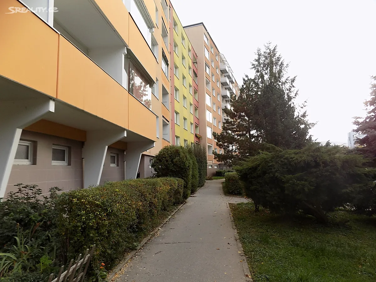 Pronájem bytu 1+1 31 m², Brno