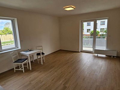 Pronájem bytu 1+kk 46 m²