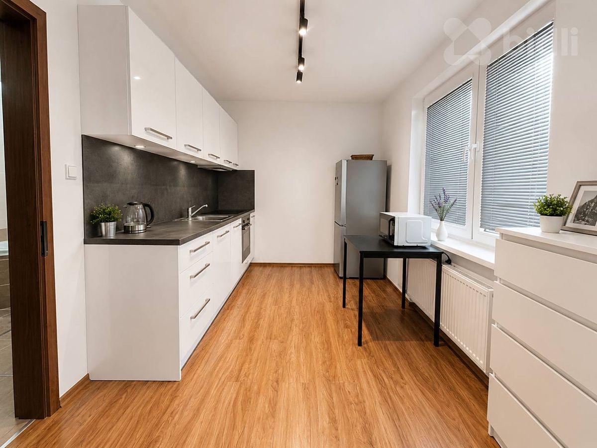 Pronájem bytu 1+1 37 m² – fotografie 3