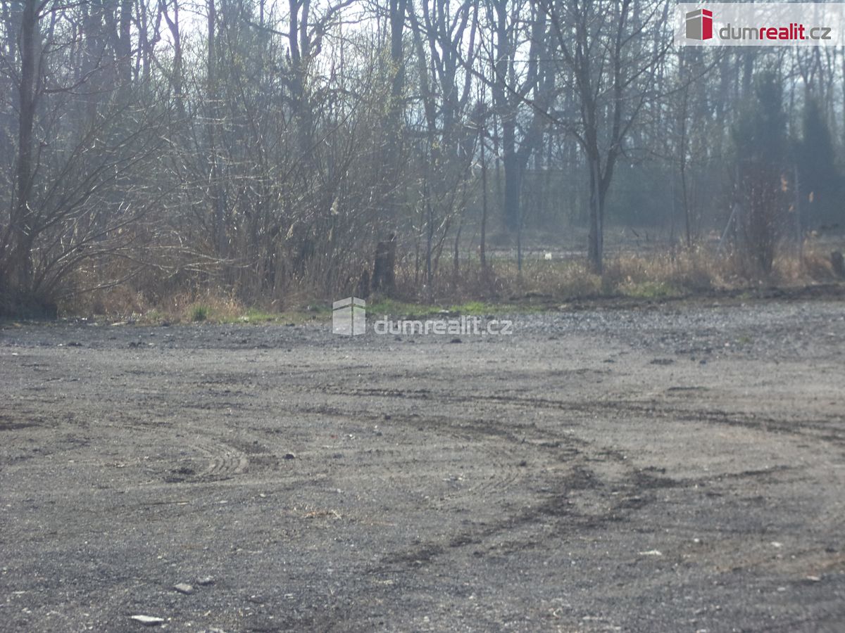 Pronájem komerční nemovitosti 2000 m² – fotografie 4