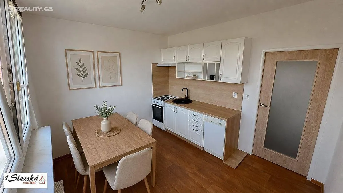 Pronájem bytu 1+1 36 m², Opava