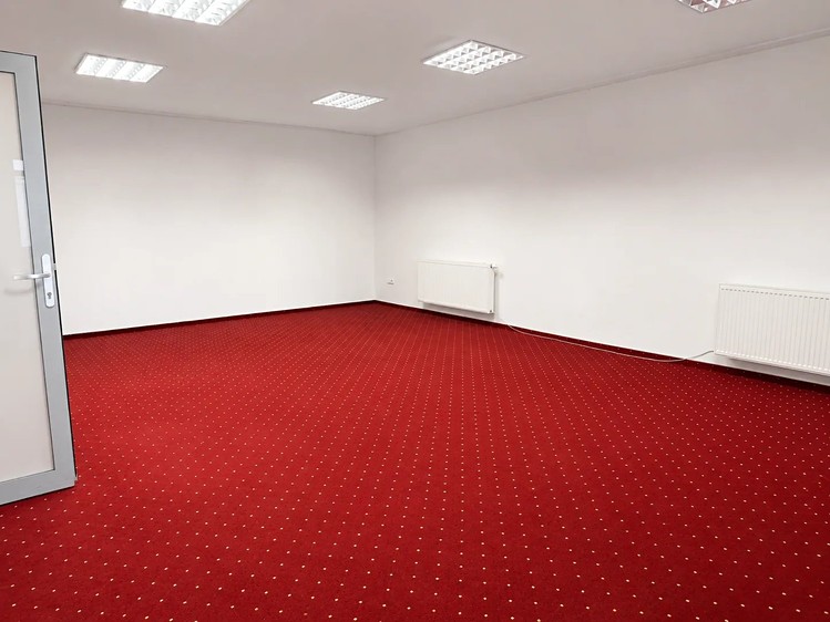 Gewerbefläche zur Miete, 265 m² (8 von 13)