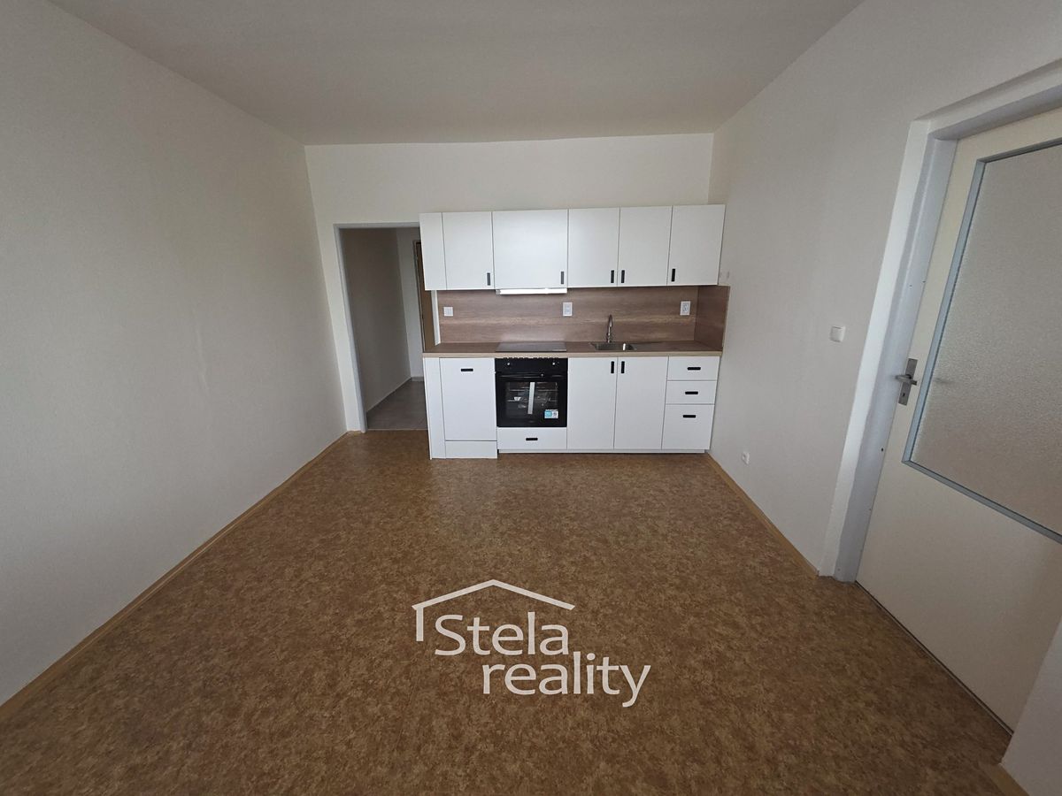 Pronájem bytu 1+1 44 m²
