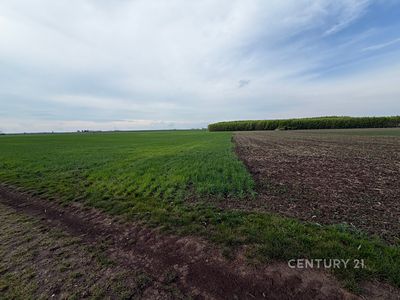 Prodej pole 2936 m²