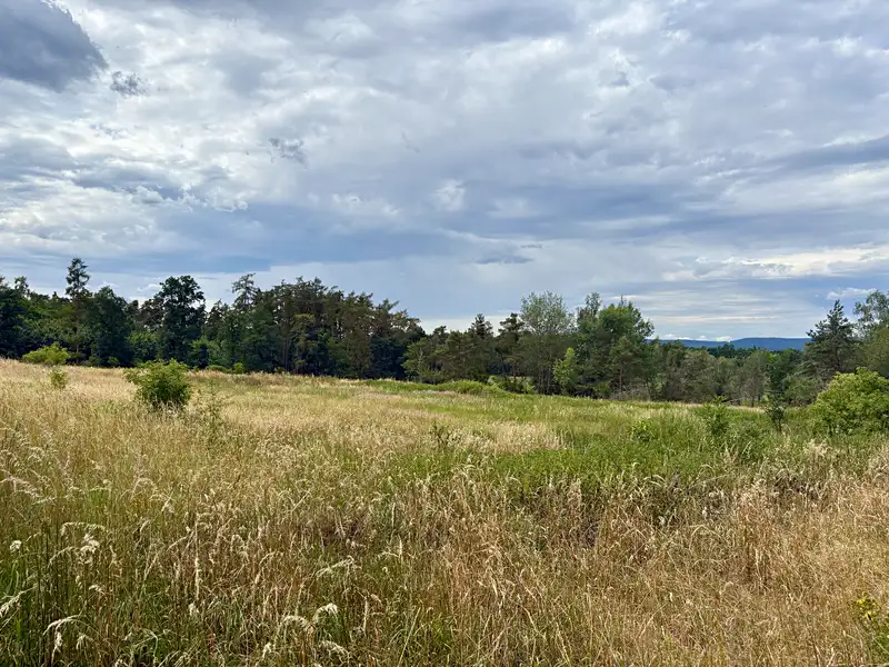 Prodej louky 16399 m², Rybníky – náhled fotky 1
