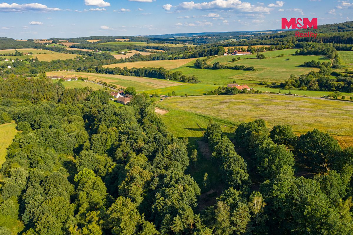 Prodej louky 6183 m² – fotografie 2