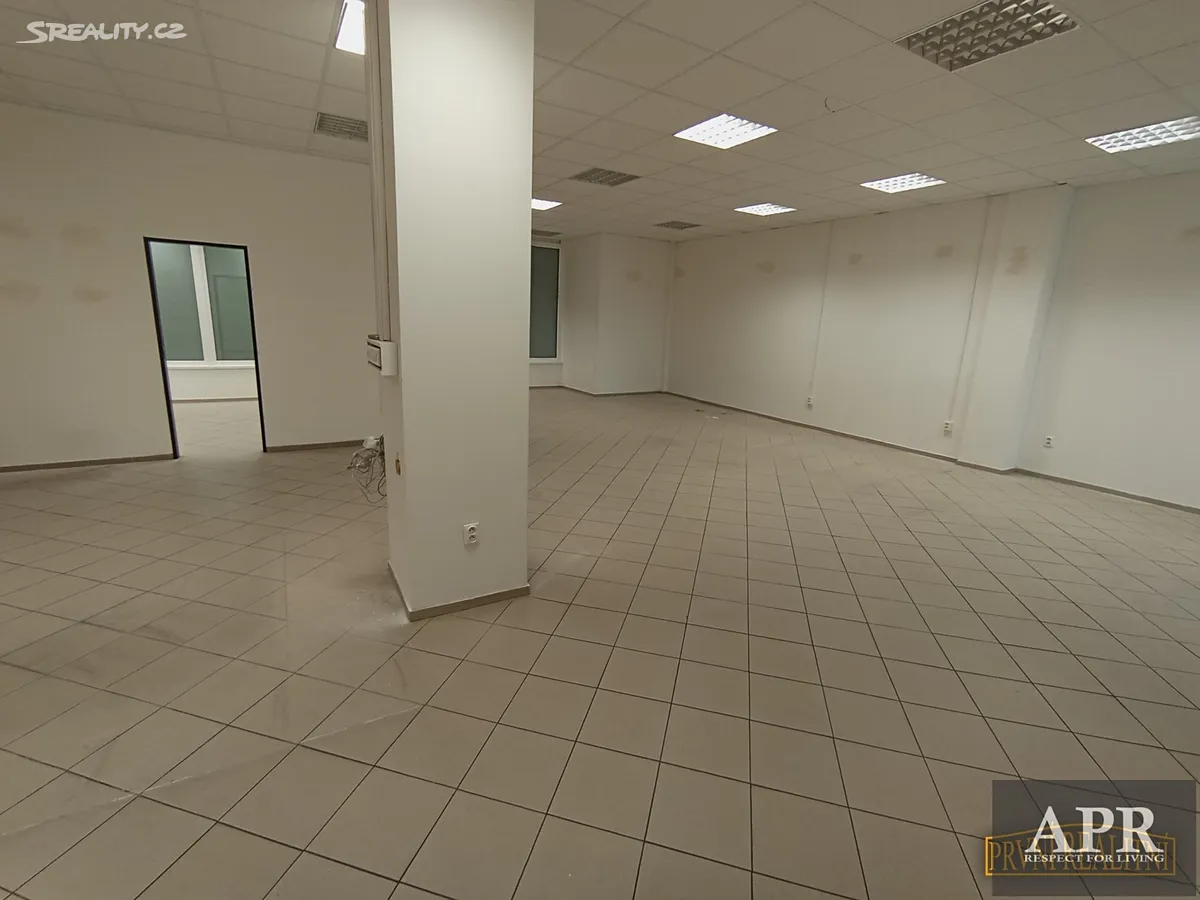 Pronájem obchodního prostoru 150 m² – pohled 5
