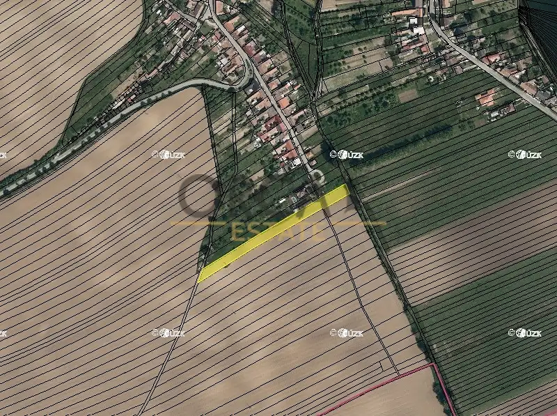 Prodej pole 3323 m², Moravany – náhled fotky 2